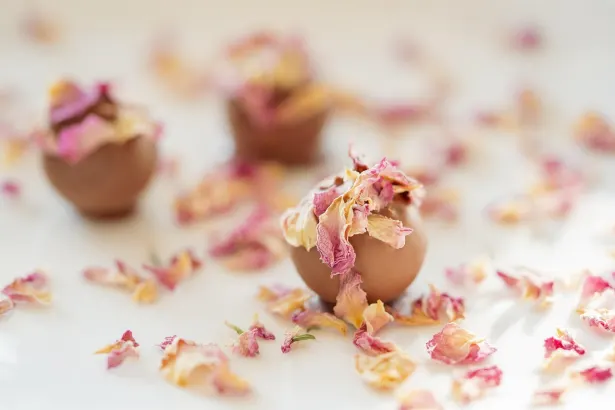 Láz Nyerőgépek Kaszinó Android/iOS Alkalmazás